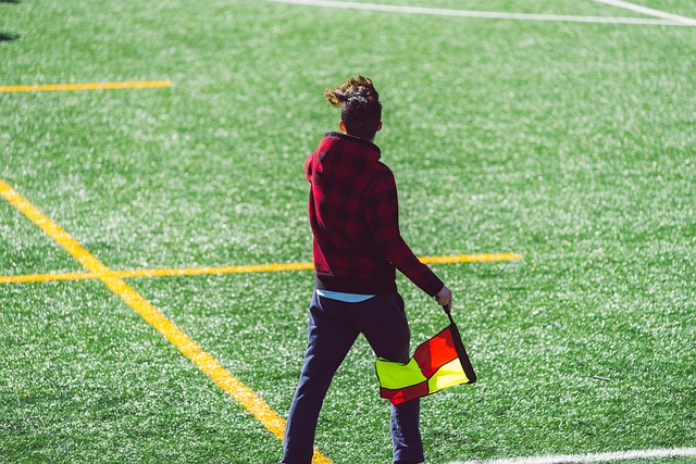 多元化竞争 多元化竞争